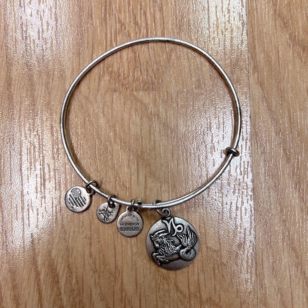 Alex and Ani Capricorn Bracelet in Silver